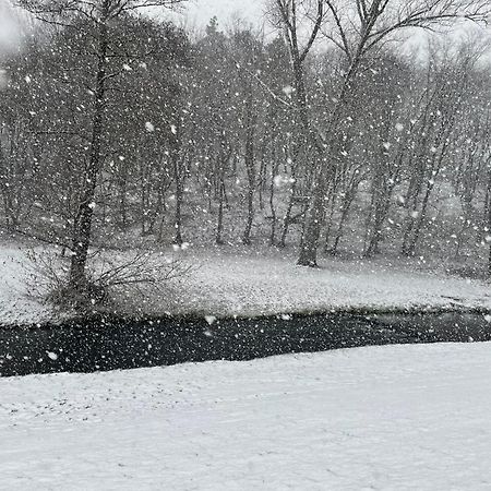 River Wellness Jince Экстерьер фото